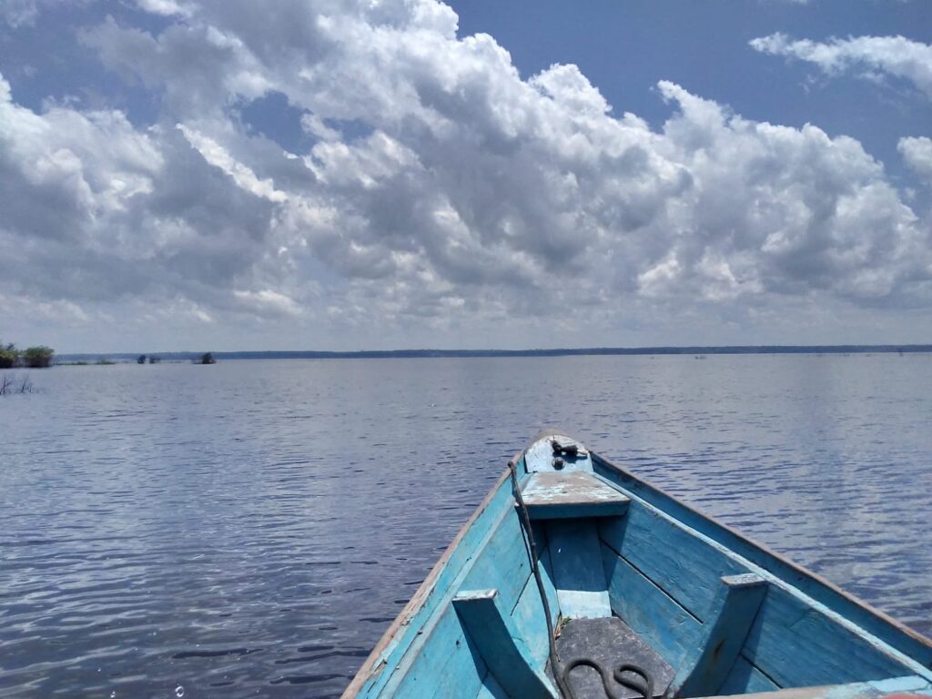 Manaus: Speedboat Tour in the Archipelago in Anavilhanas