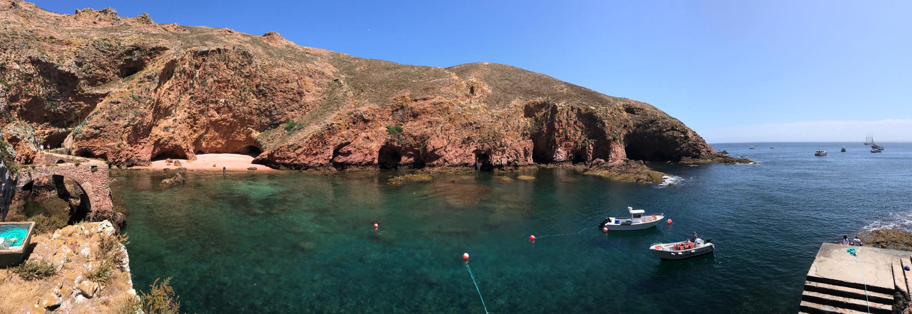 Berlenga Caves Boat Tour from Peniche