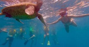 Explore Hawaii in One Day