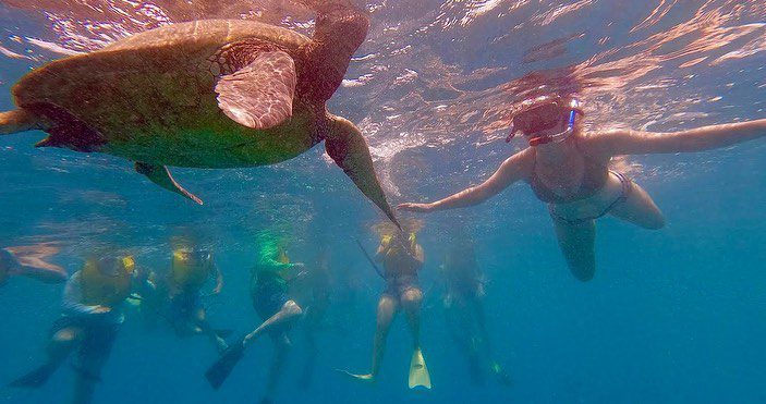 Explore Hawaii in One Day