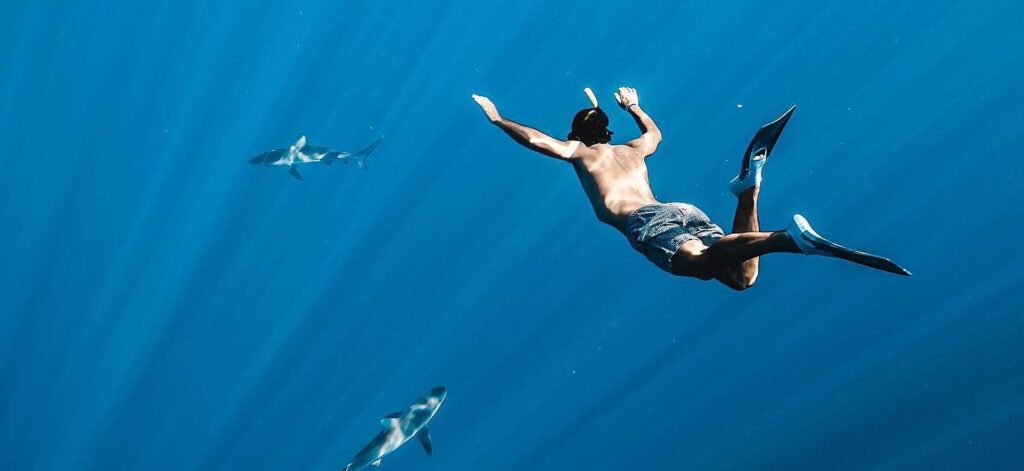 Sustainable Sea Tourism: Embracing Ocean Conservation