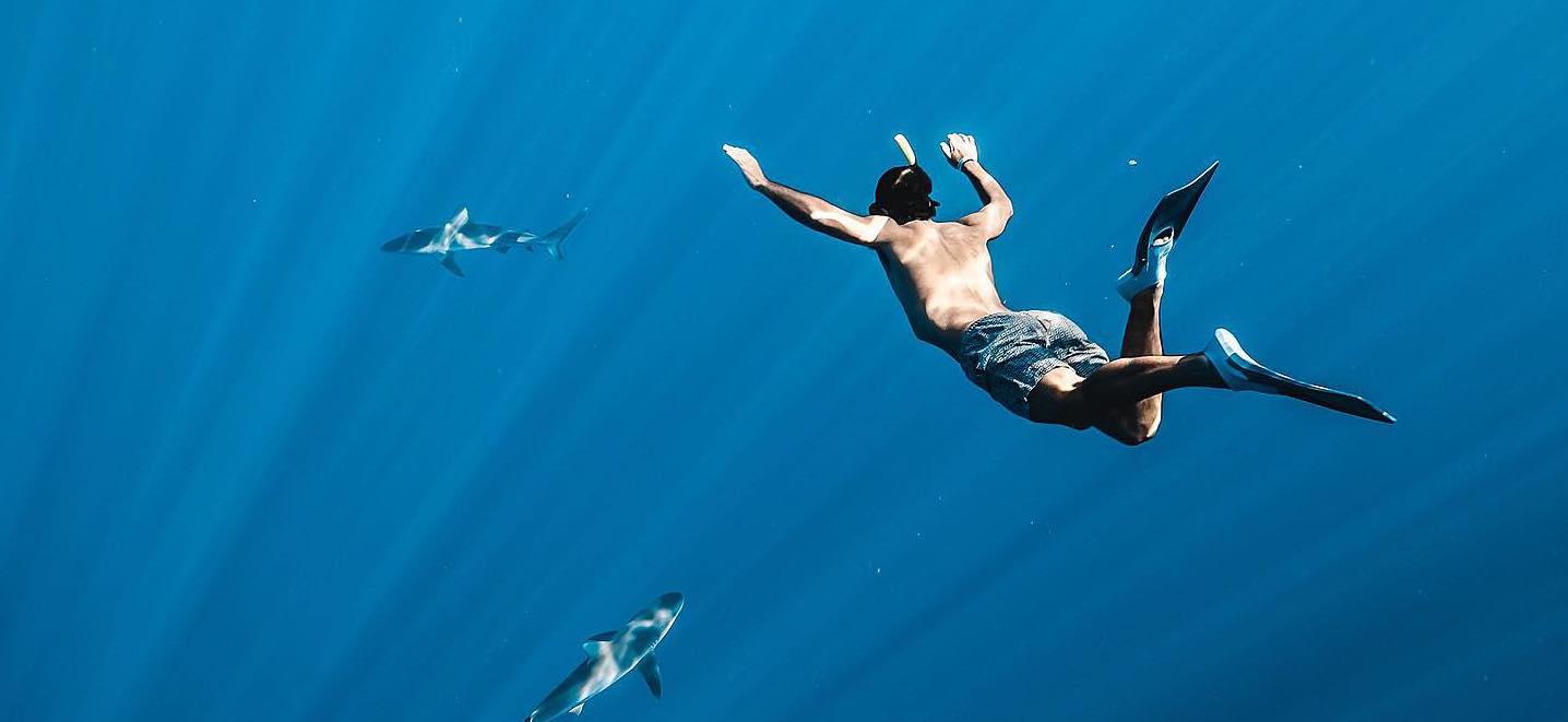 12251-haleiwa-eco-snorkeling-tour-1671363390