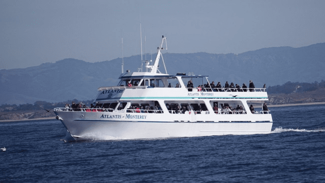 Whale Watching Cruise in Monterey