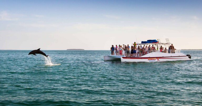 Excursión al atardecer con delfines y snorkel en Cayo Hueso