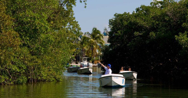 Safari-Bootsfahrt in Key West