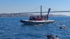 Lisbon: Dolphin Watching Boat Tour