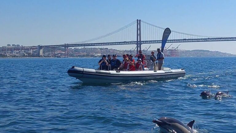 Lisboa: Excursión en barco para avistar delfines