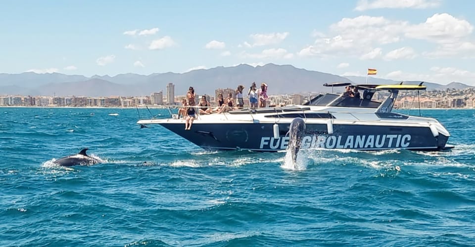 Dolphin watching Tour in Fuengirola