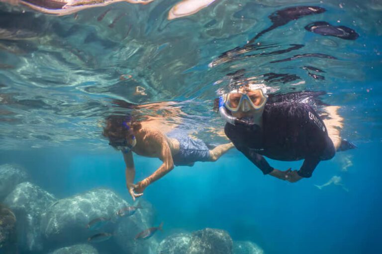Funchal: Tour de Snorkel na Madeira