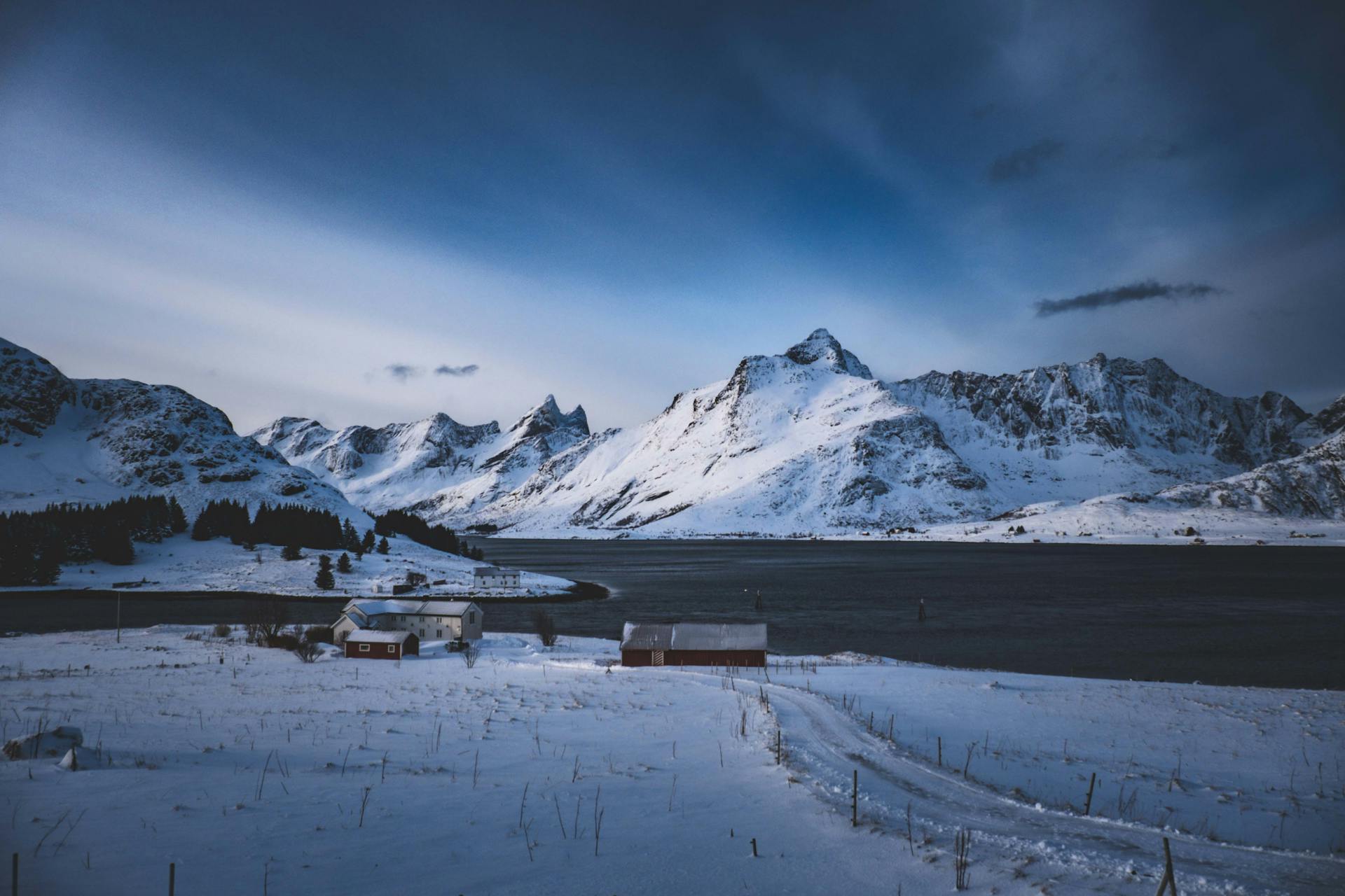 Trollfjord Cruise