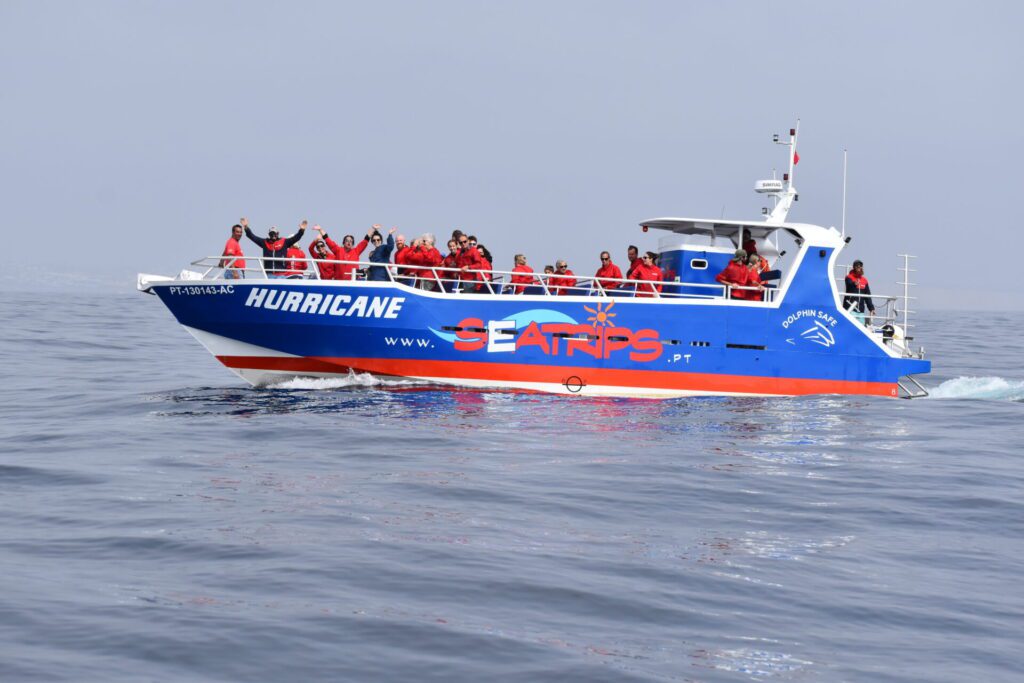 Benagil and Dolphin Boat Tour from Lagos