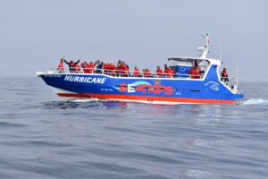 Excursión en barco por Benagil y los delfines desde Lagos