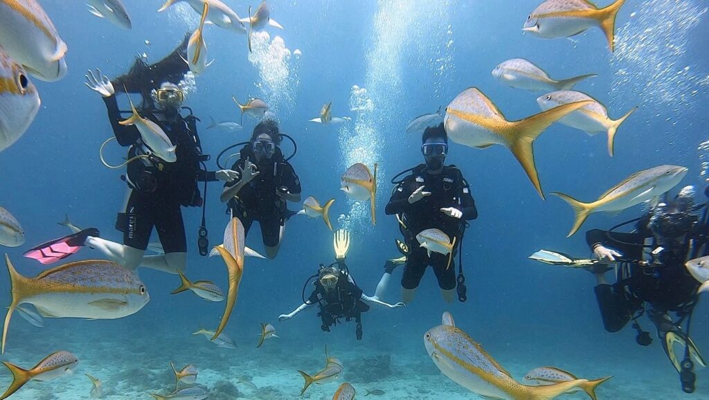 Scuba Diving with Two Tanks in St. Thomas