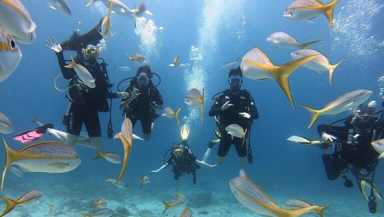 Mergulho com duas garrafas em St. Thomas