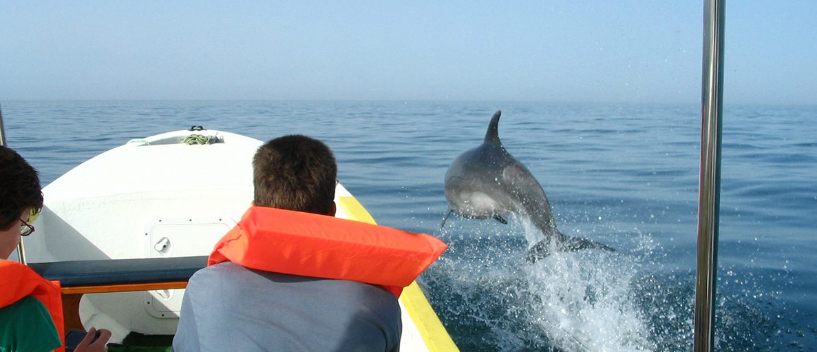 Boat Tour to the Dolphins in Olhão