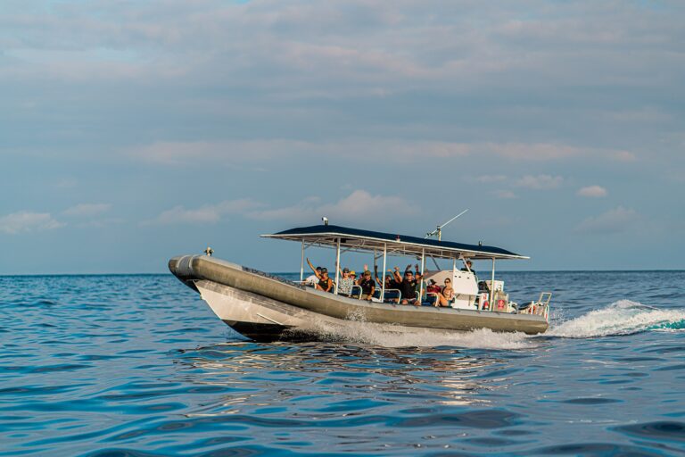 Speedboat snorkeltour in Hawaii