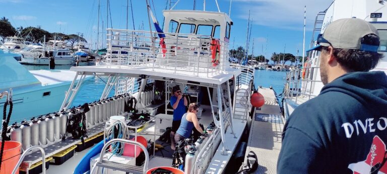 Turtle Canyon Snorkeltour in Waikiki