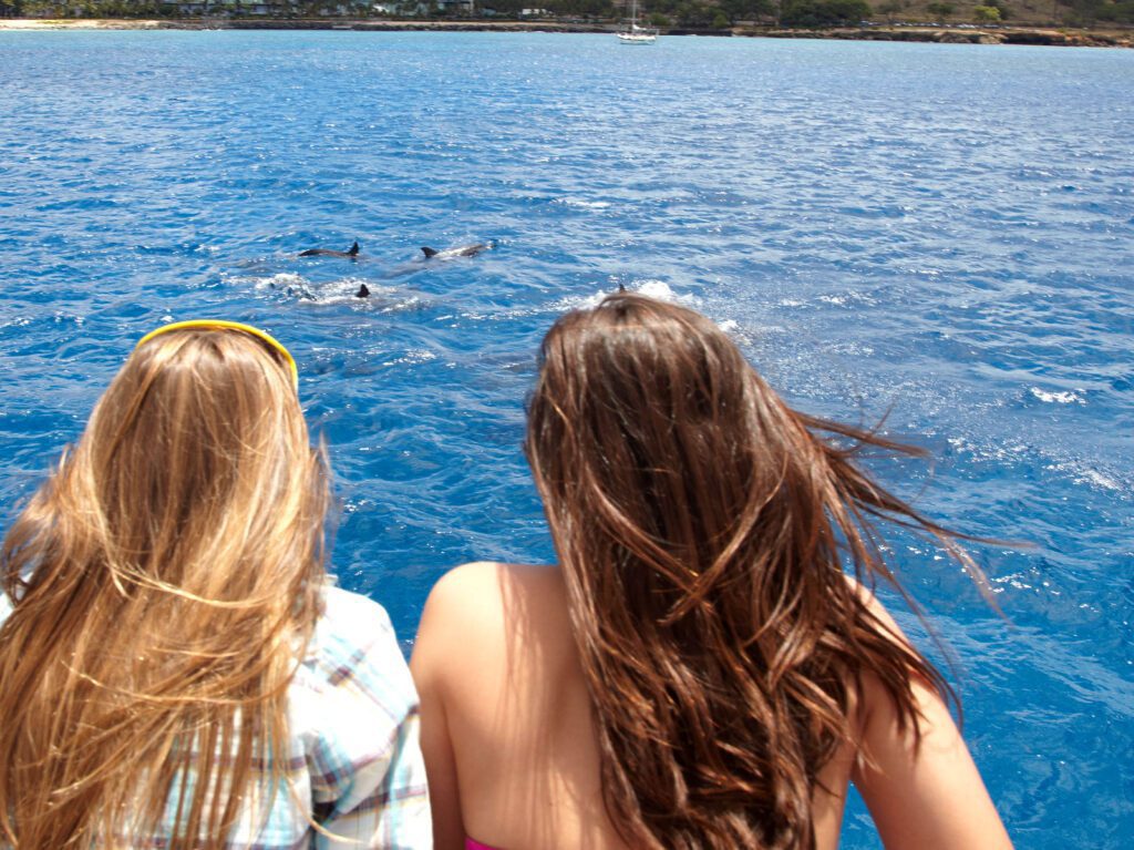 Powerboat Wildlife Watching in Waianae