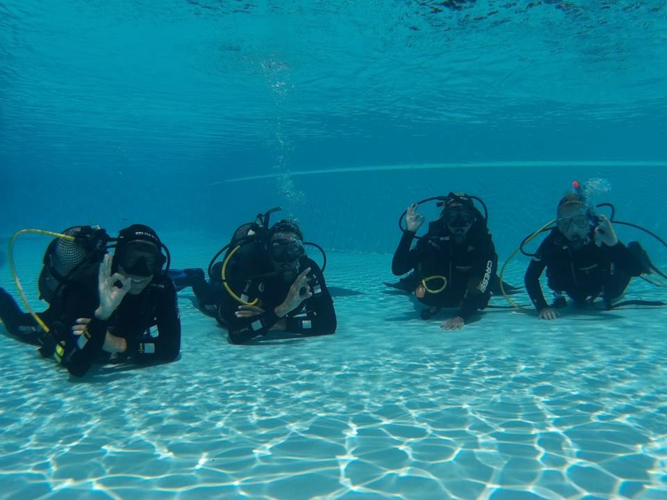 Try Scuba Diving in Madeira