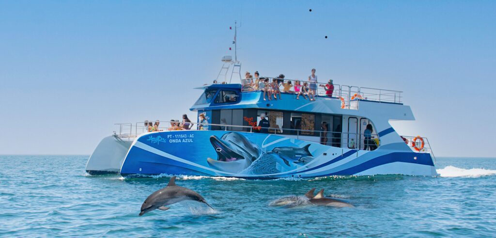 Observação de golfinhos num catamarã em Lagos