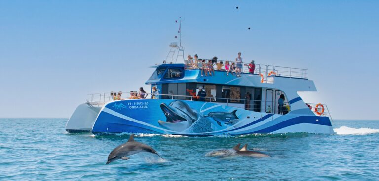 Avistaje de delfines en un catamarán en Lagos