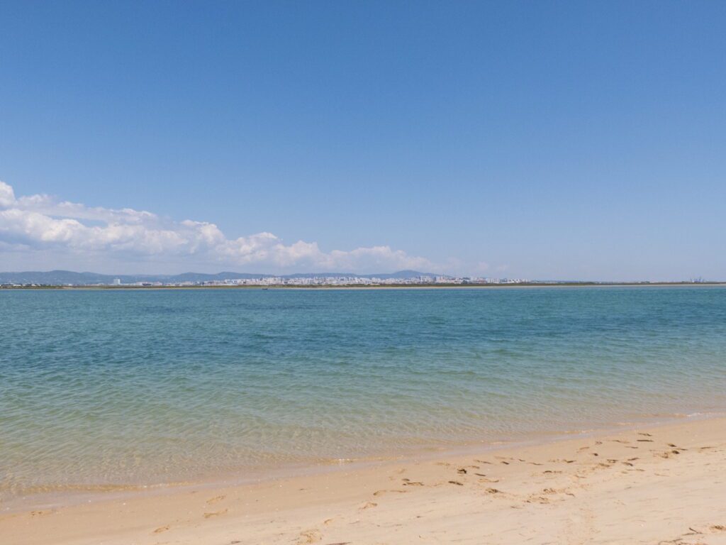 Ria Formosa Birdwatching Boat Tour