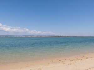 Paseo en barco para observación de aves de Ría Formosa
