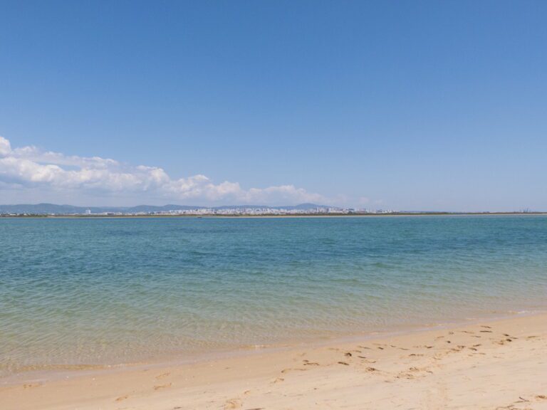 Paseo en barco para observación de aves de Ría Formosa