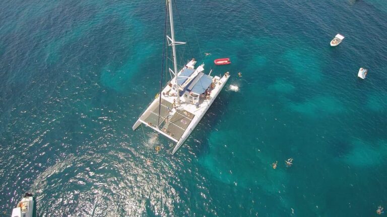 Full-Day Catamaran Boat Tour in Alicante