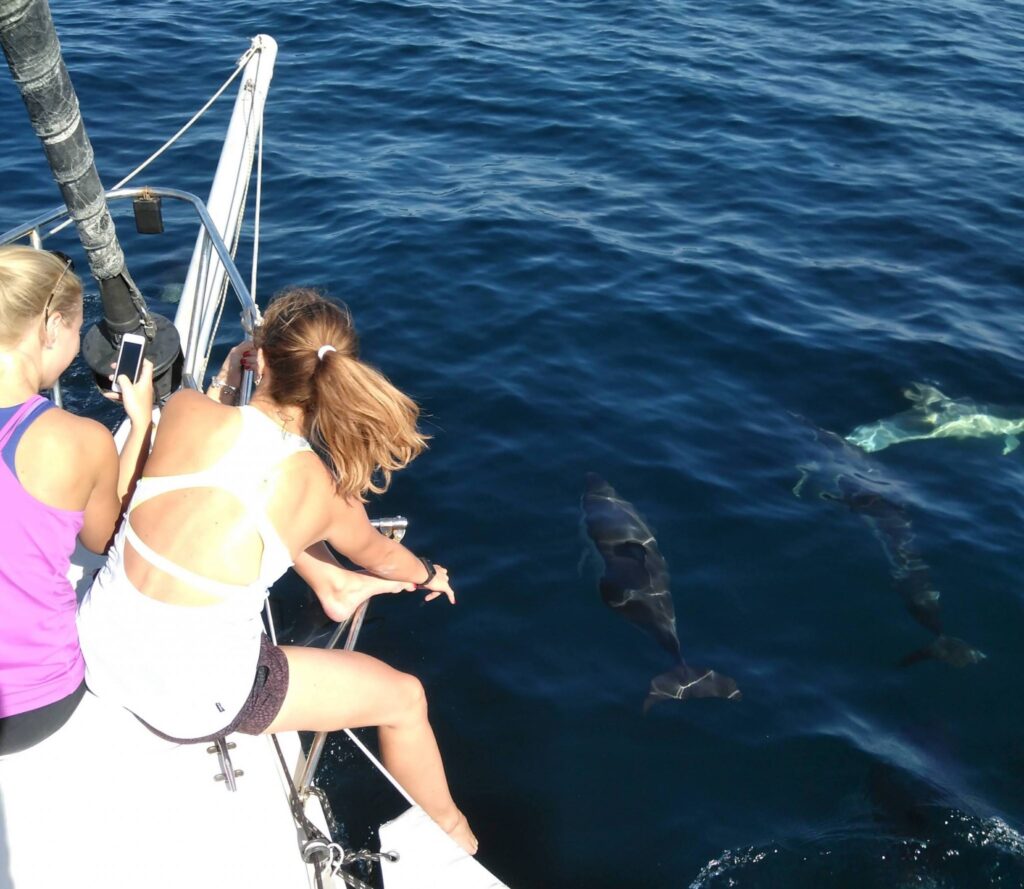 We gingen op een boottocht en zagen wilde dolfijnen in Lissabon!