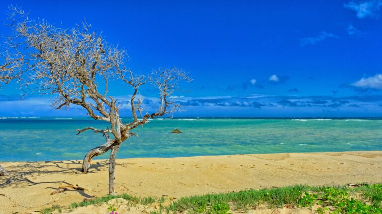 Kahului