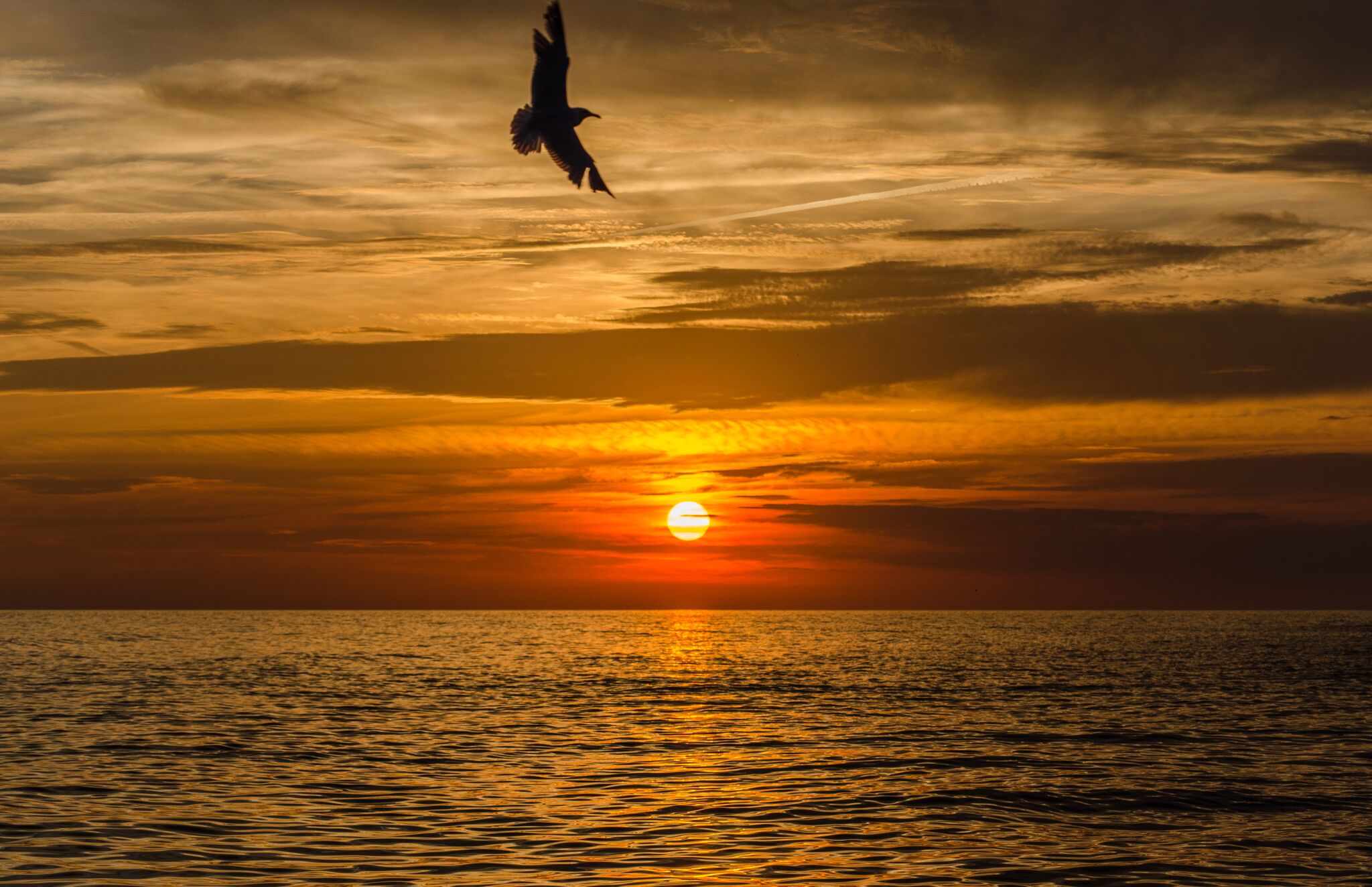 passeio de barco ao pôr do sol em Ibiza
