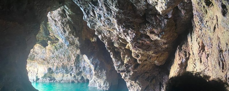 10402-298376893_469056401894210_5363439541958529659_n-1663156484