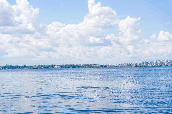 10832-passeio-de-barco-com-delfins-e-a-uma-aldeia-indigena-a-partir-de-manaus-1673022140