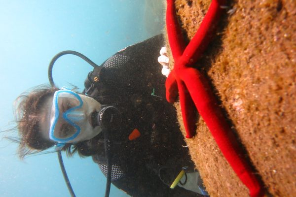 10986-estrela-do-mar-1666714904