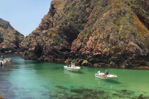 Boat tour to Berlenga Islands