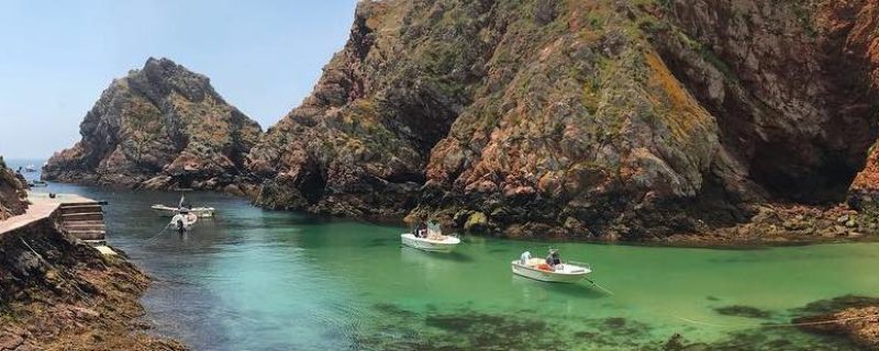 Boat tour to Berlenga Islands