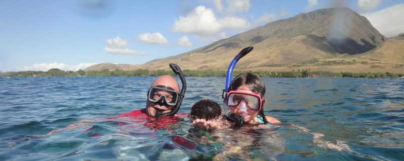 11850-kayak-con-ballenas-y-tortugas-en-olowalu-1671039126