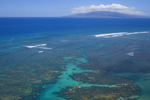11854-kayak-con-ballenas-y-tortugas-en-olowalu-1671039126