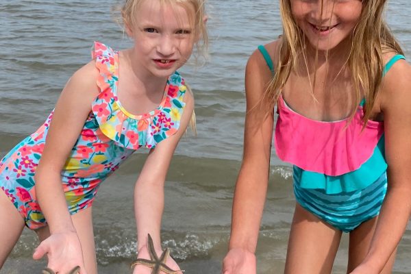 12119-ilha-desaparecida-e-tour-de-golfinhos-em-hilton-head-1671291593