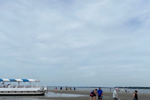 12120-ilha-desaparecida-e-passeio-de-golfinhos-em-hilton-head-1671291593