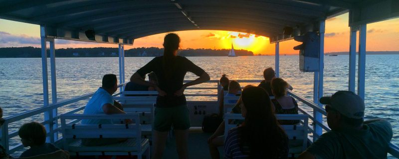 12138-sunset-fireworks-dolphin-tour-in-hilton-head-1671292239