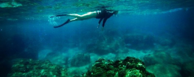 12234-sea-turtle-lagoon-and-black-sand-beach-snorkel-in-hilo-1671359813