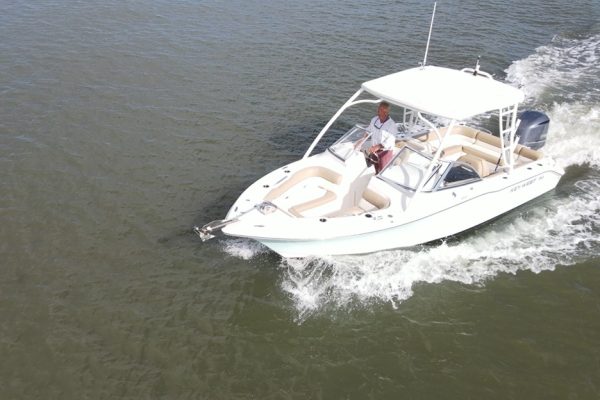 12318-twee-uur-privé-dolfijnentour-in-hilton-head-1671382950