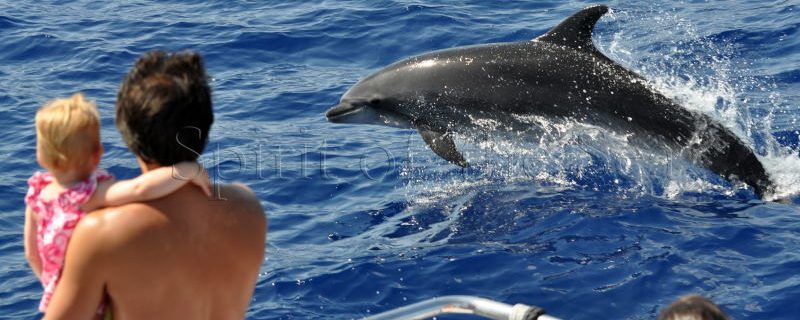 1287-some-species-come-real-close-1575397522