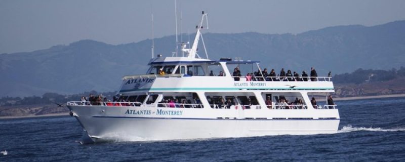 13047-crucero-de-avistamiento-de-ballenas-en-monterey-1672166654