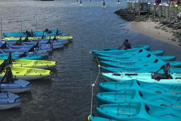 13951-tandem-kajak-verleih-in-dewey-beach-1673026574
