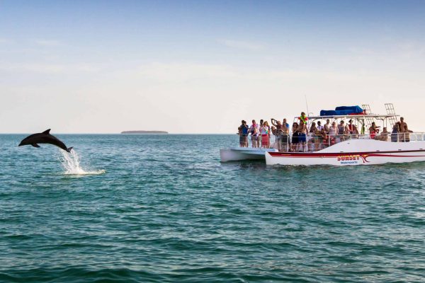 Dolphin jumping next to a boat during sunset in Key West
