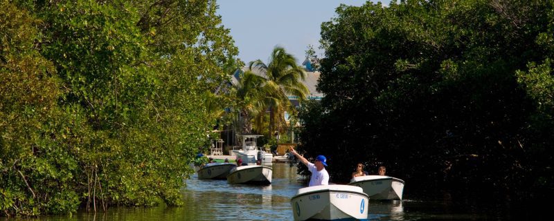 14111-safari-boat-tour-in-key-west-1674666437
