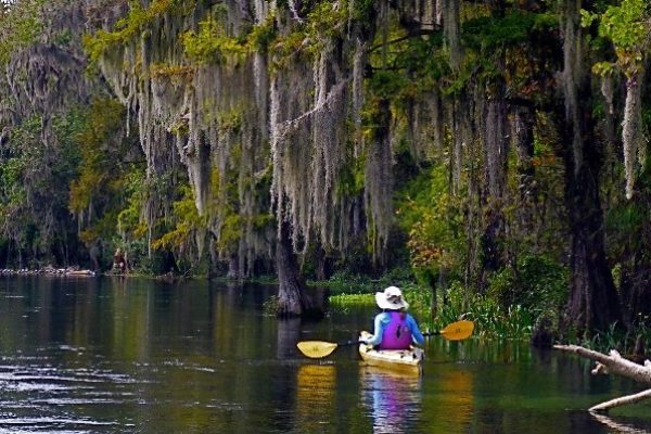 kayak tour orlando